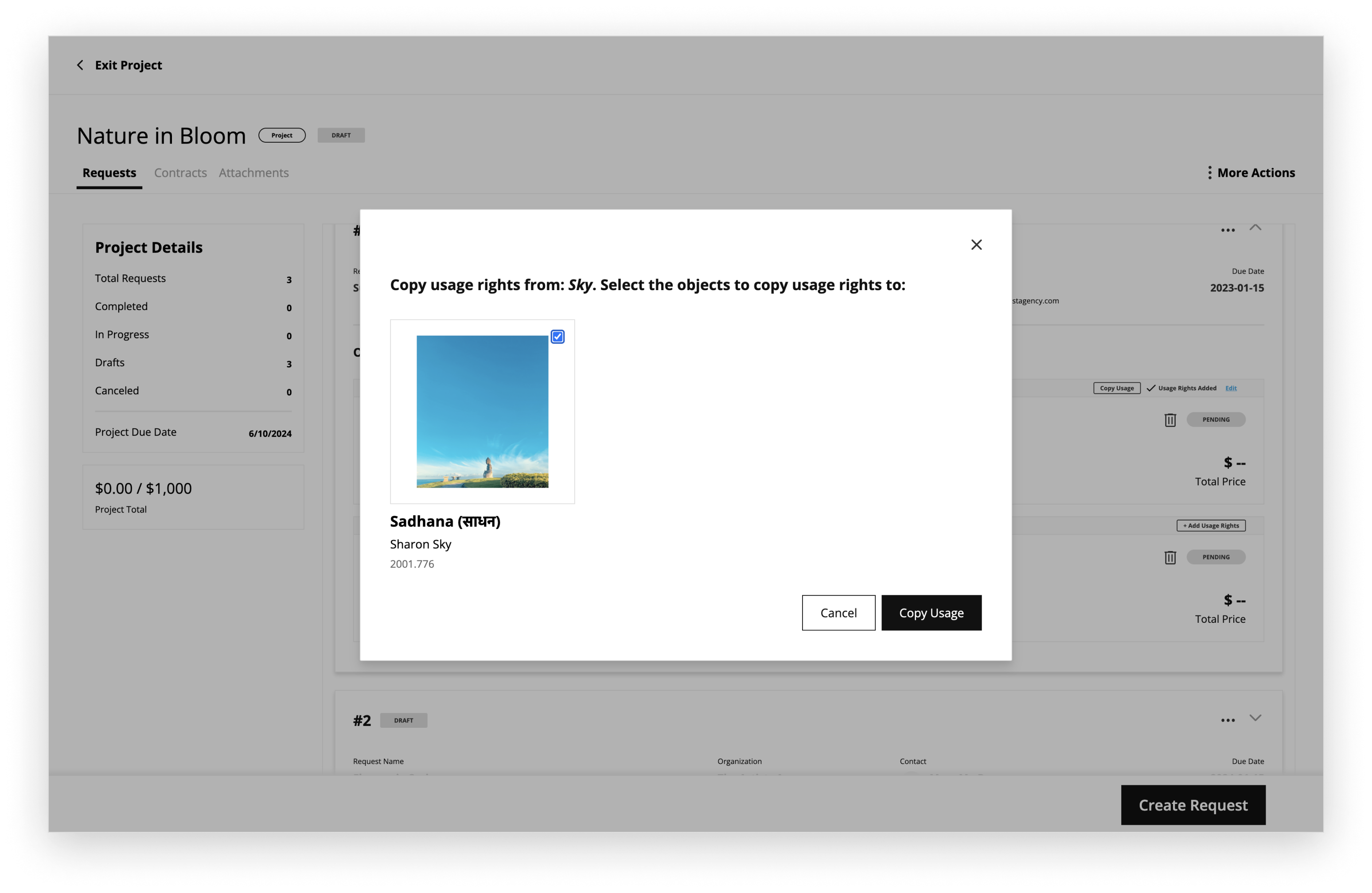 usage-copy-modal-select.png